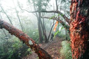 BIB: 
                            <button type="button" onclick="openModal(26343743)" class="btn btn-primary btn-sm float-right btn-popup" data-toggle="modal" data-target=".modal-high-quality">
                        <i class="fas fa-shopping-cart"></i> Add to Cart
                    </button>
                                            <button type="button" onclick="isThisMe(26343743, true)" class="btn btn-success btn-sm float-right btn-popup btn-isme hidden" data-toggle="tooltip" data-placement="bottom" title="นี่คือรูปของคุณใช่ไหม คลิกที่นี่เพื่อเอาเข้าอัลบั้ม">
                        <i class="fas fa-plus"></i> Add to album
                    </button>
                    <button type="button" onclick="isThisMe(26343743, false)" class="btn btn-warning btn-sm float-right btn-popup btn-isnotme hidden">
                        <i class="fas fa-ban"></i> Remove from album
                    </button>